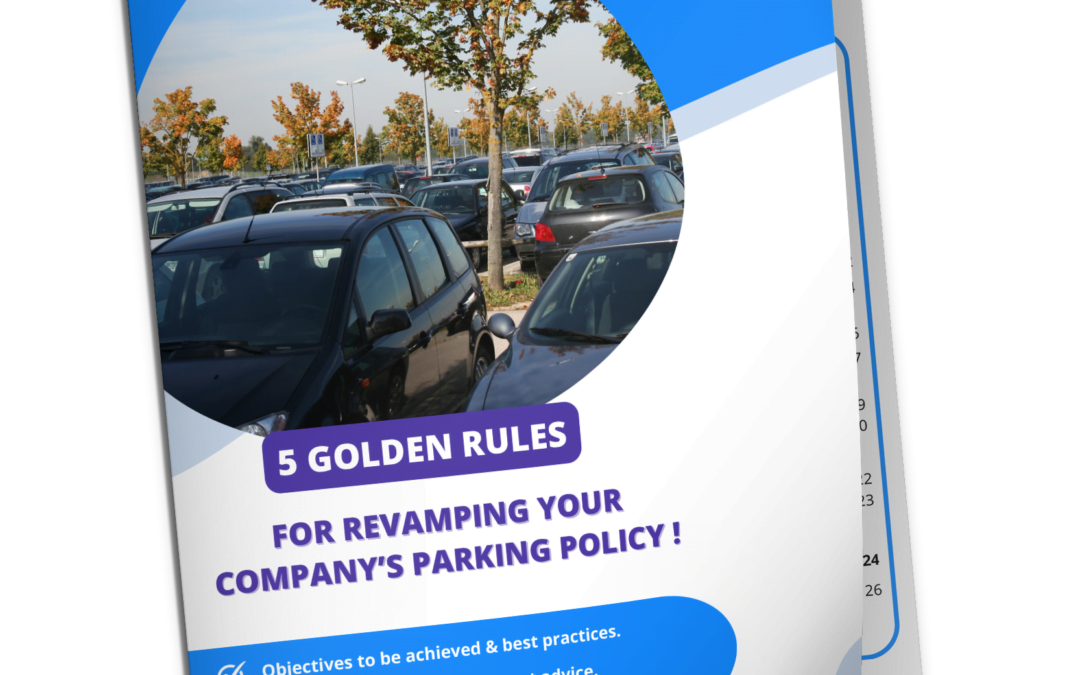 Parking policy – White Paper